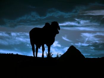 Low angle view of cloudy sky