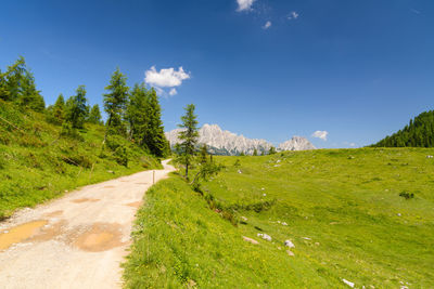 Road amidst green landscape against sky