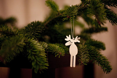 Close-up of christmas tree at home