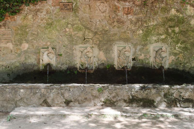 Graffiti on stone wall by plants