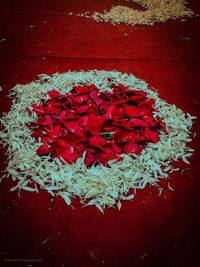 High angle view of red rose on table