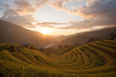 Scenic view of agricultural field against sky during sunset