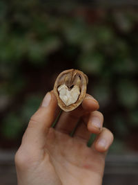 Close-up of hand holding ice cream