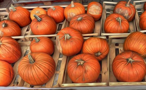 Full frame of pumpkins in market