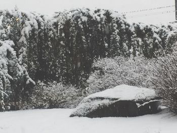 Scenic view of snow covered landscape