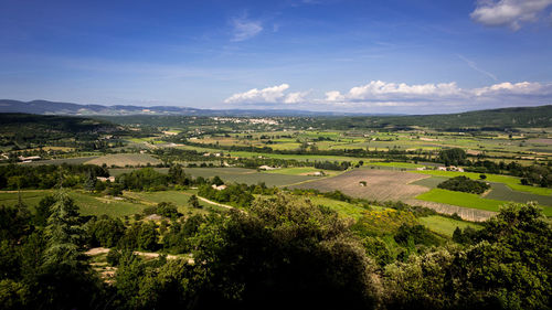 Scenic view of agricultural field against sky