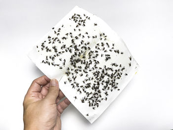 Midsection of person holding ice cream against white background