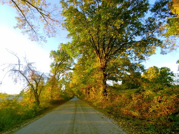 Road amidst trees against sky during autumn