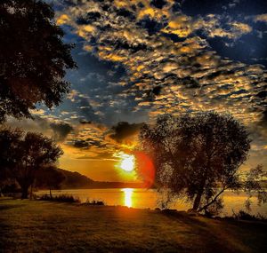 Trees on field against sky during sunset