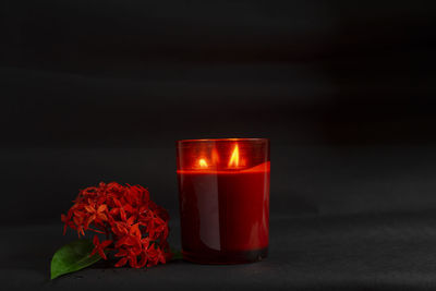 Close-up of red flower on table against black background