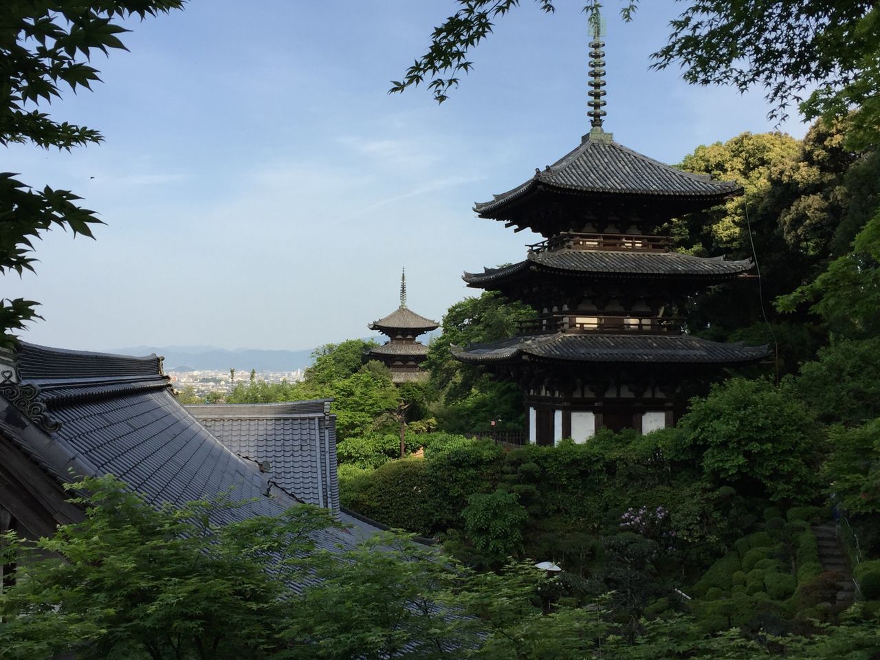 religion, place of worship, spirituality, architecture, built structure, building exterior, tree, temple - building, famous place, low angle view, sky, church, travel destinations, history, tourism, travel, temple