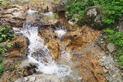 Scenic view of waterfall in forest