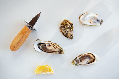 Delicious fresh oysters, knife and lemon on white table in natural sunlight, top view