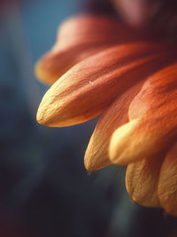 Close-up of hand against sky