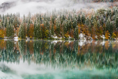 Scenic view of lake during autumn