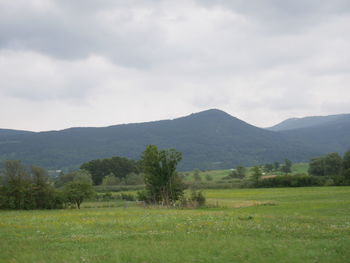 Scenic view of field against sky