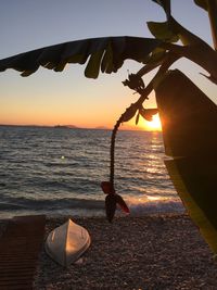 Scenic view of beach against sky during sunset