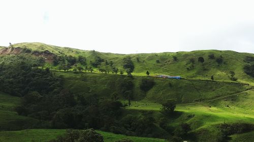 Scenic view of green landscape