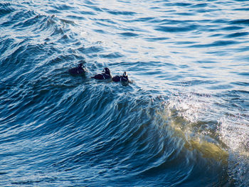 High angle view of seabirds floating in the wave