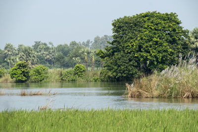 Scenic view of lake against clear sky