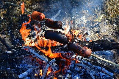 High angle view of crab on barbecue grill