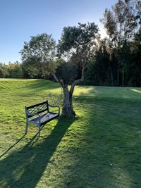 Empty bench in park