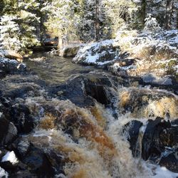 Scenic view of waterfall