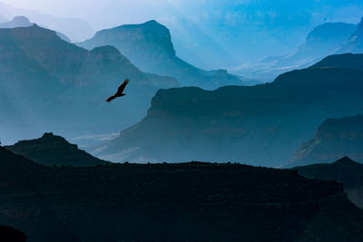 Silhouette bird flying over mountains against sky