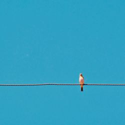 Low angle view of bird perching on cable against blue sky