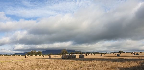 Panoramic shot of hay bales on field against sky