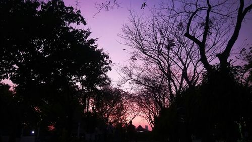 Low angle view of silhouette trees against sky at night