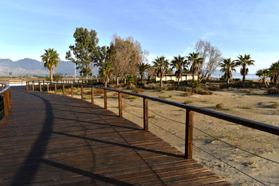 View of palm trees at beach against sky