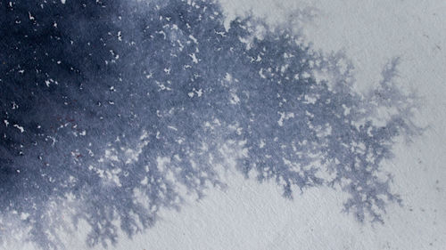 snow