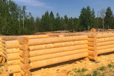 Stack of logs on field in forest against sky