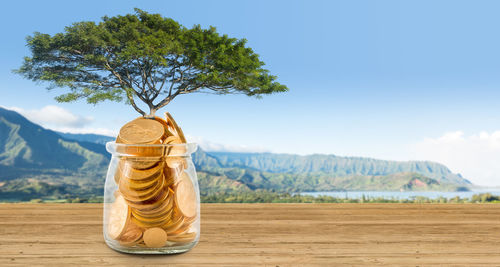 Tree and coins against sky