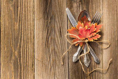 High angle view of maple leaves on table