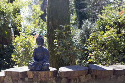 Rear view of buddha statue against trees