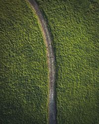 High angle view of golf course