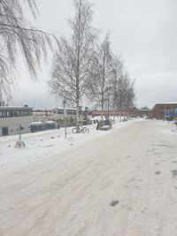 Bare trees on snow covered land against sky