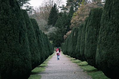 Rear view of woman walking on footpath amidst trees in forest