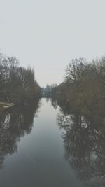Reflection of trees in water
