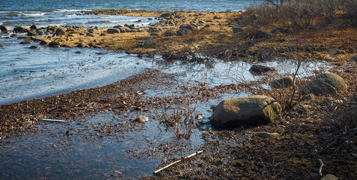 High angle view of rocks on beach