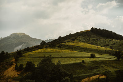 Scenic view of landscape against sky