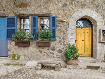 Potted plants on wall of building