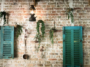 Potted plant against brick wall of old building