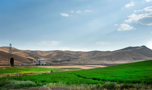 Scenic view of field against sky