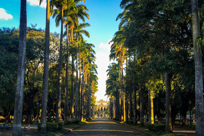 Road amidst trees against sky