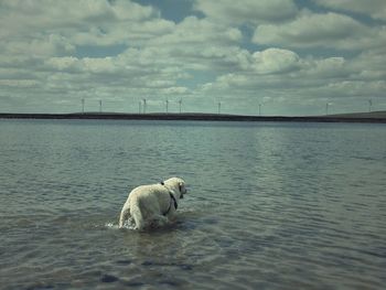 View of sea against cloudy sky
