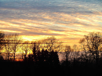 Silhouette trees against dramatic sky during sunset