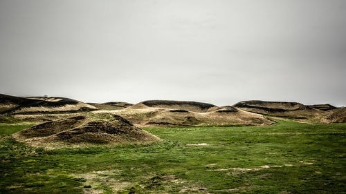 Scenic view of grassy field against sky